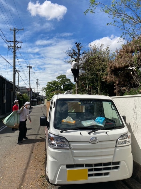 道路沿い