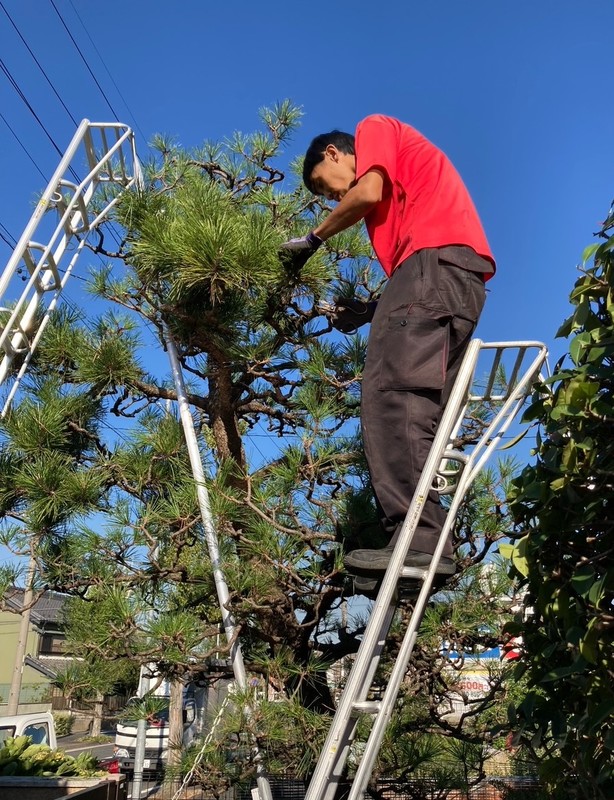 加藤さん